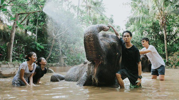 Lombok Wildlife Park, Destinasi Edukatif di Pulau Lombok 