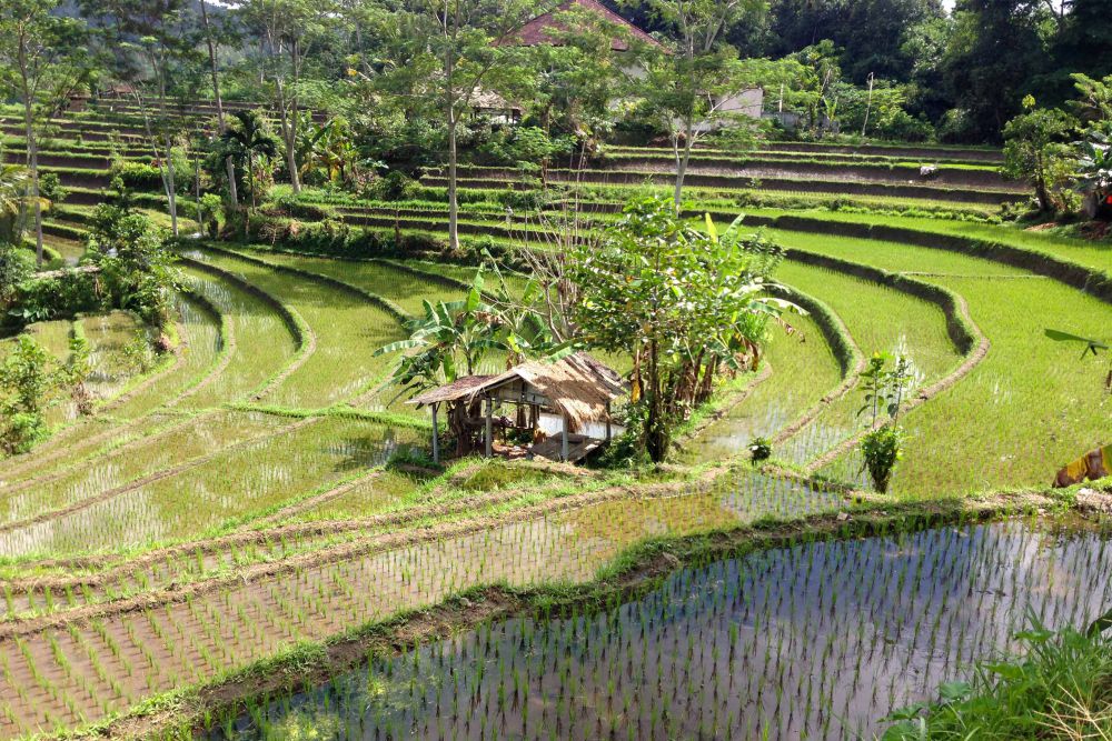 5 Aktivitas Liburan di Sidemen Karangasem, Bikin Lupa Waktu