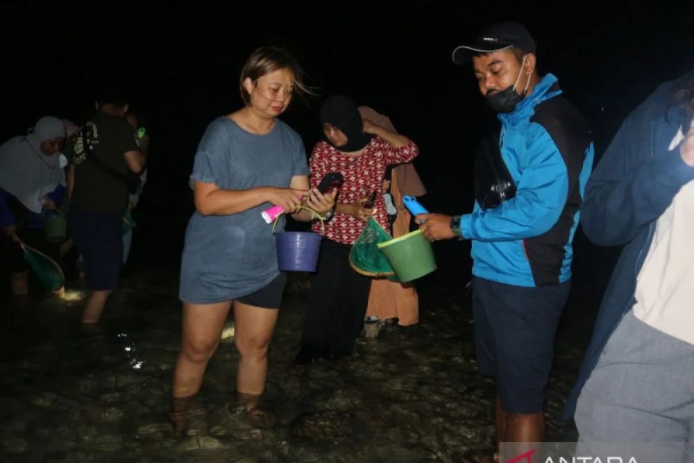 Bukan Sembarang Cacing Laut, Nyale Diyakini Jelmaan Putri Mandalika