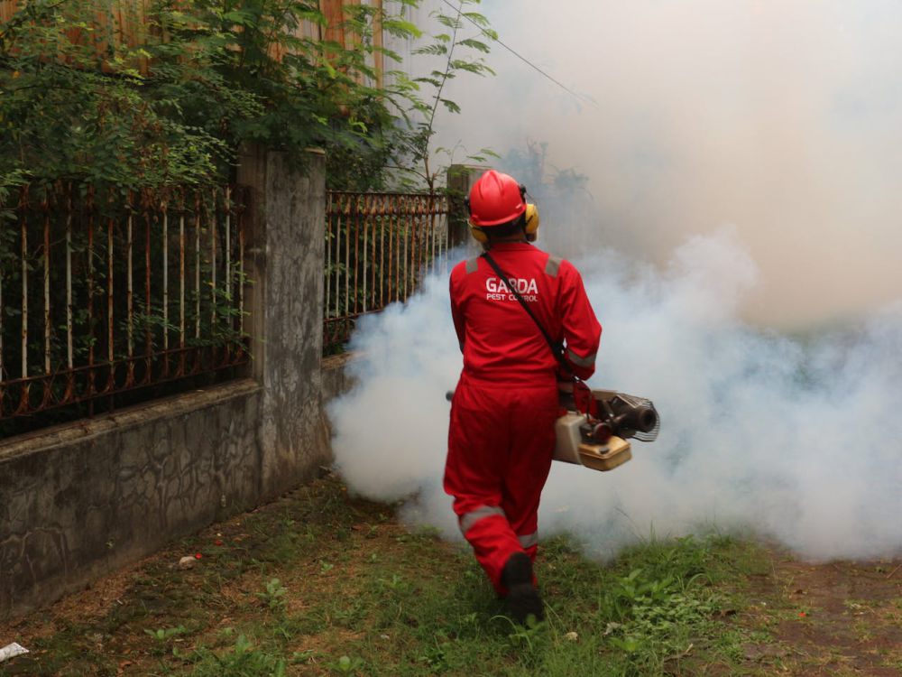 Otorita IKN Imbau Warga Cegah Penyebaran Demam Berdarah Dengue