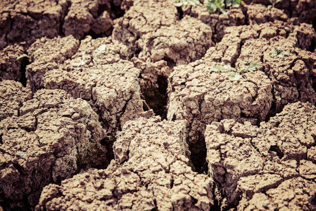 Kemarau, Warga di Lebak Cari Air Sampai ke Hutan