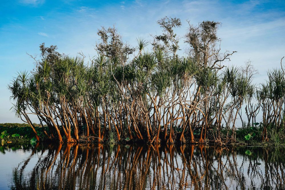 Reklamasi Tak Hanya Merusak Mangrove, Tapi Seluruh Surabaya