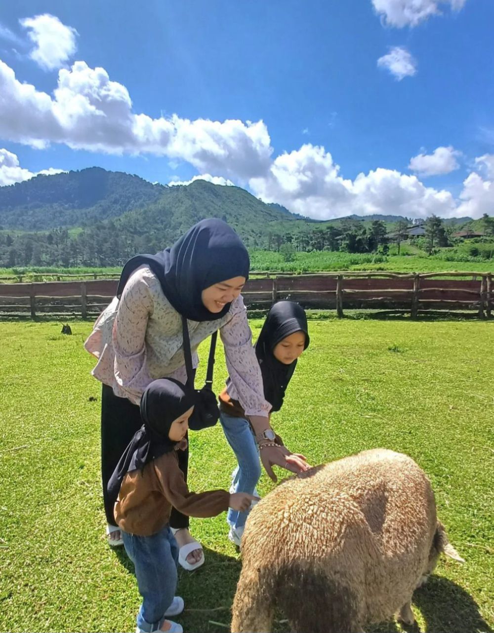 5 Fakta Menggala Ranch di Banyumas, Pesona Swiss of Java