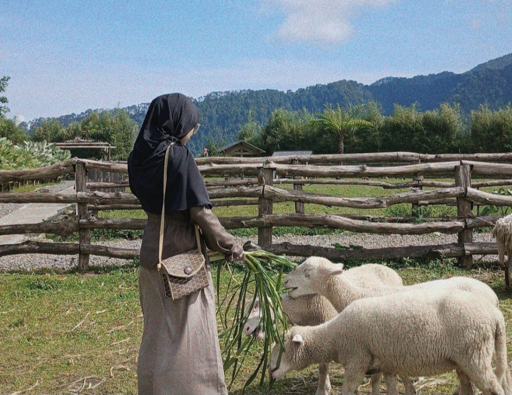 5 Fakta Menggala Ranch di Banyumas, Pesona Swiss of Java