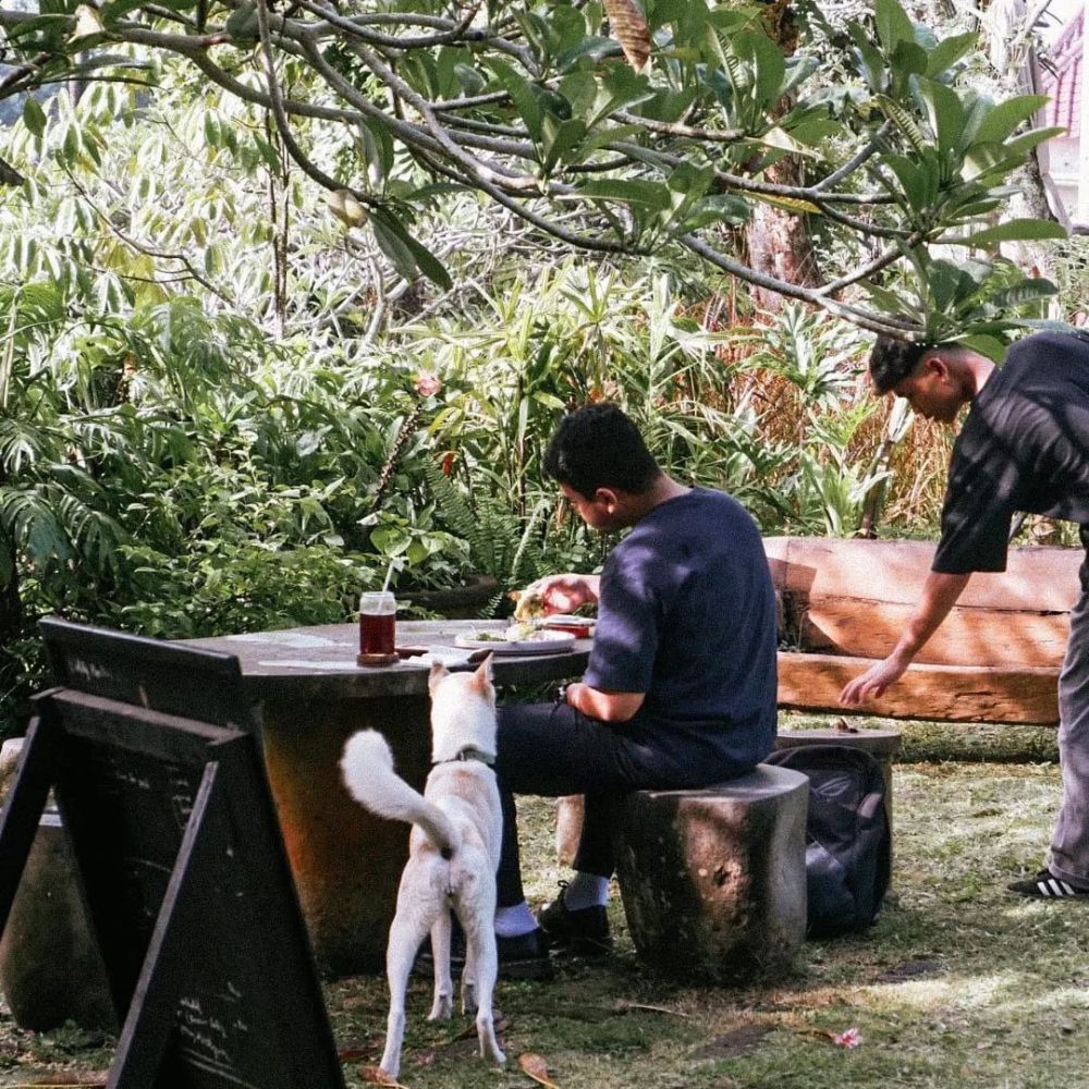 5 Rekomendasi Kafe di Pantai Nyanyi Tabanan