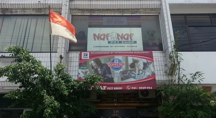 7 Rekomendasi Pet Shop di Surabaya Terlengkap