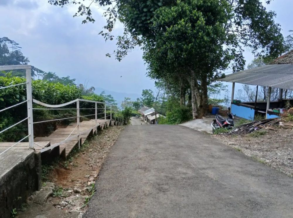 Keunikan Kebun Teh Nglinggo Jogja: Tak Luas Tapi Menawan