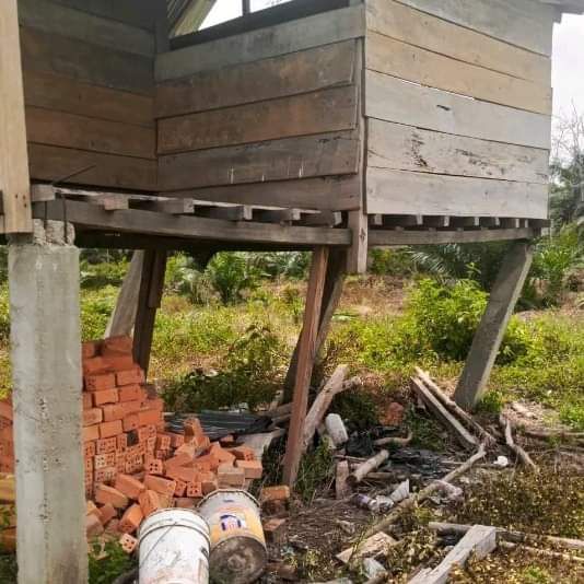 Konflik Gajah dan Manusia di Mura: Kebun dan Pemukiman Rusak