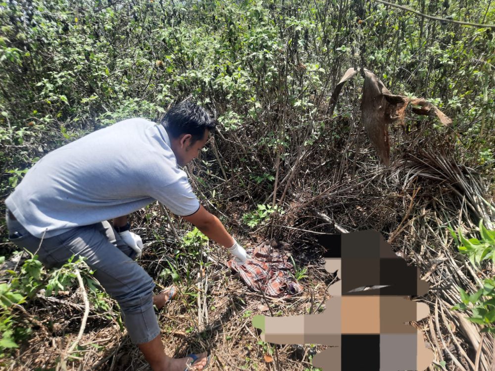 Lagi Asik Cari Bambu, Warga Malang Malah Temukan Mayat Tanpa Identitas