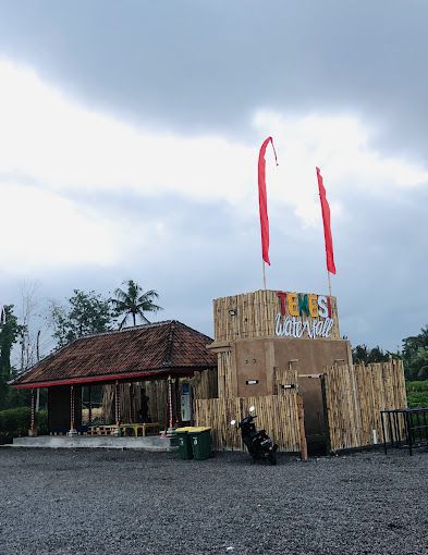 Tiket Masuk Air Terjun Temesi di Gianyar, Tirai Air Alami