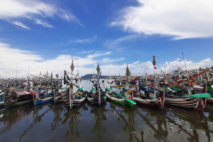 Hiu Paus yang Sangat Langka Berseliweran di Perairan Sigandu Batang