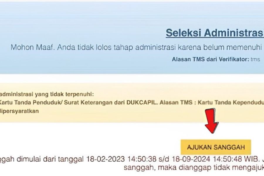 Verifikasi 4.388 Pelamar CPNS NTB Tuntas, Catat Jadwal Pengumumannya! 