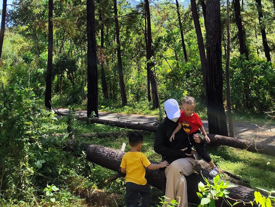 Cara Inovatif Hadapi Krisis Iklim dengan Model Pengelolaan Hutan Wakaf