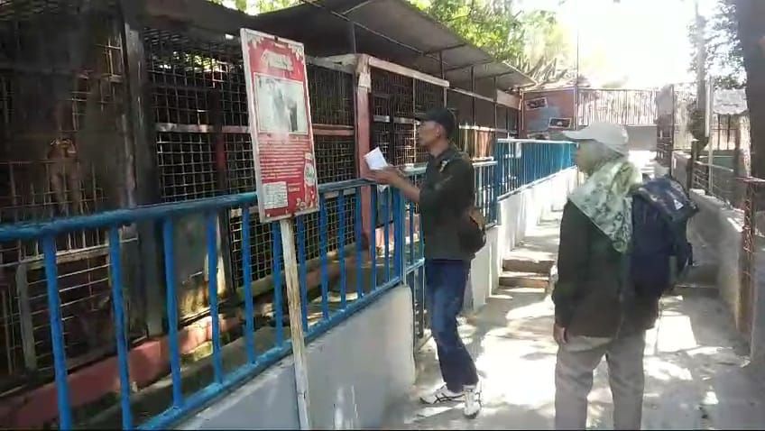 Cerita Sedih di Balik Penjualan Satwa Madiun Umbul Square