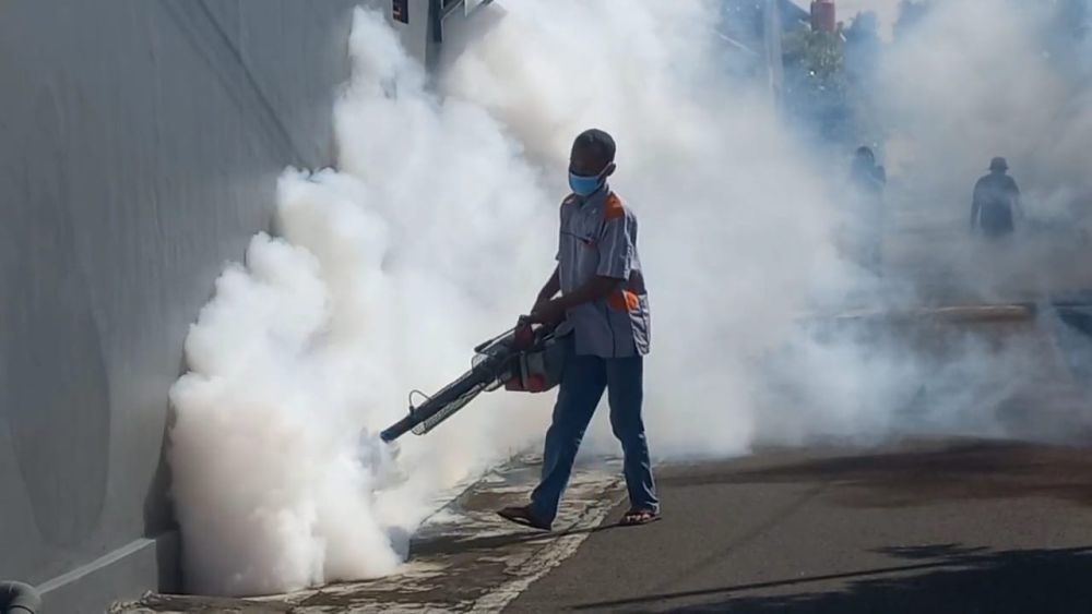 Puluhan Warga Madiun Terserang Chikungunya