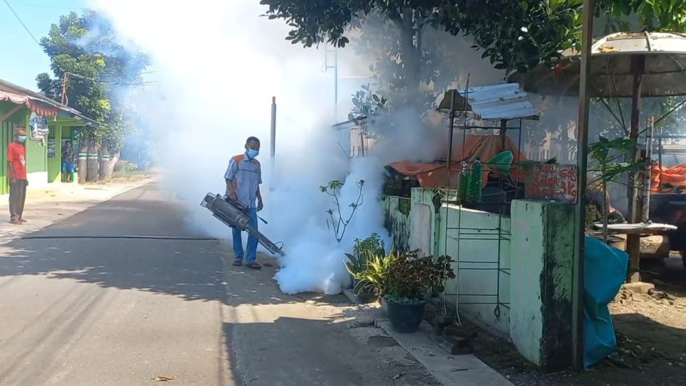 Puluhan Warga Madiun Terserang Chikungunya