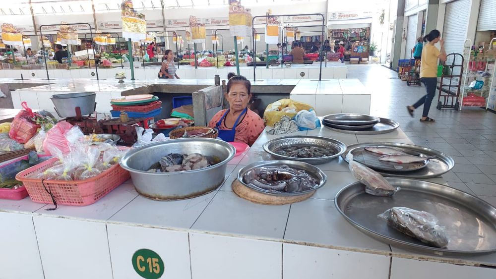 Catatan Merah Pembangunan Pasar Umum Negara