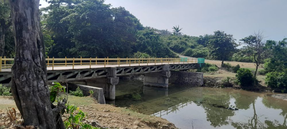 Proyek Main-main Pengamanan Badak Jawa