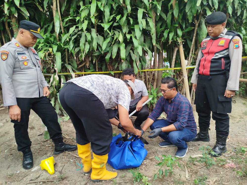 Jasad Bayi Laki-Laki Ditemukan di Blitar, Polisi Buru Pelaku