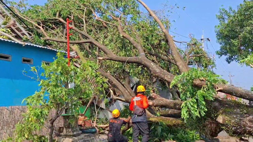 Belasan Rumah dan SLB Rusak Diterjang Angin Hujan di Magetan