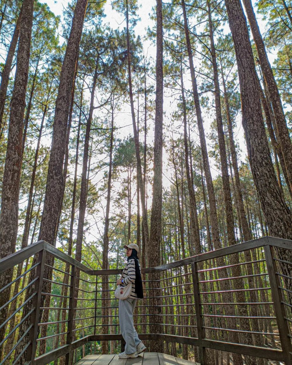 9 Wisata Pagi di Jogja yang Seru, Trekking hingga Kulineran