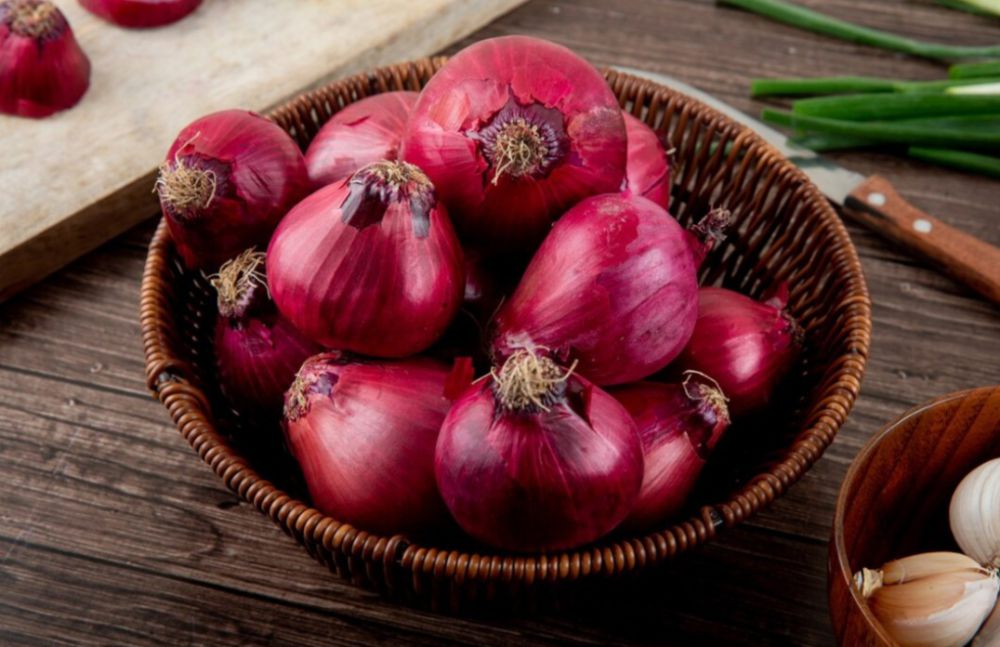 Pasok Bawang Merah dari Brebes Cara Pemkot Palembang Tekan Inflasi