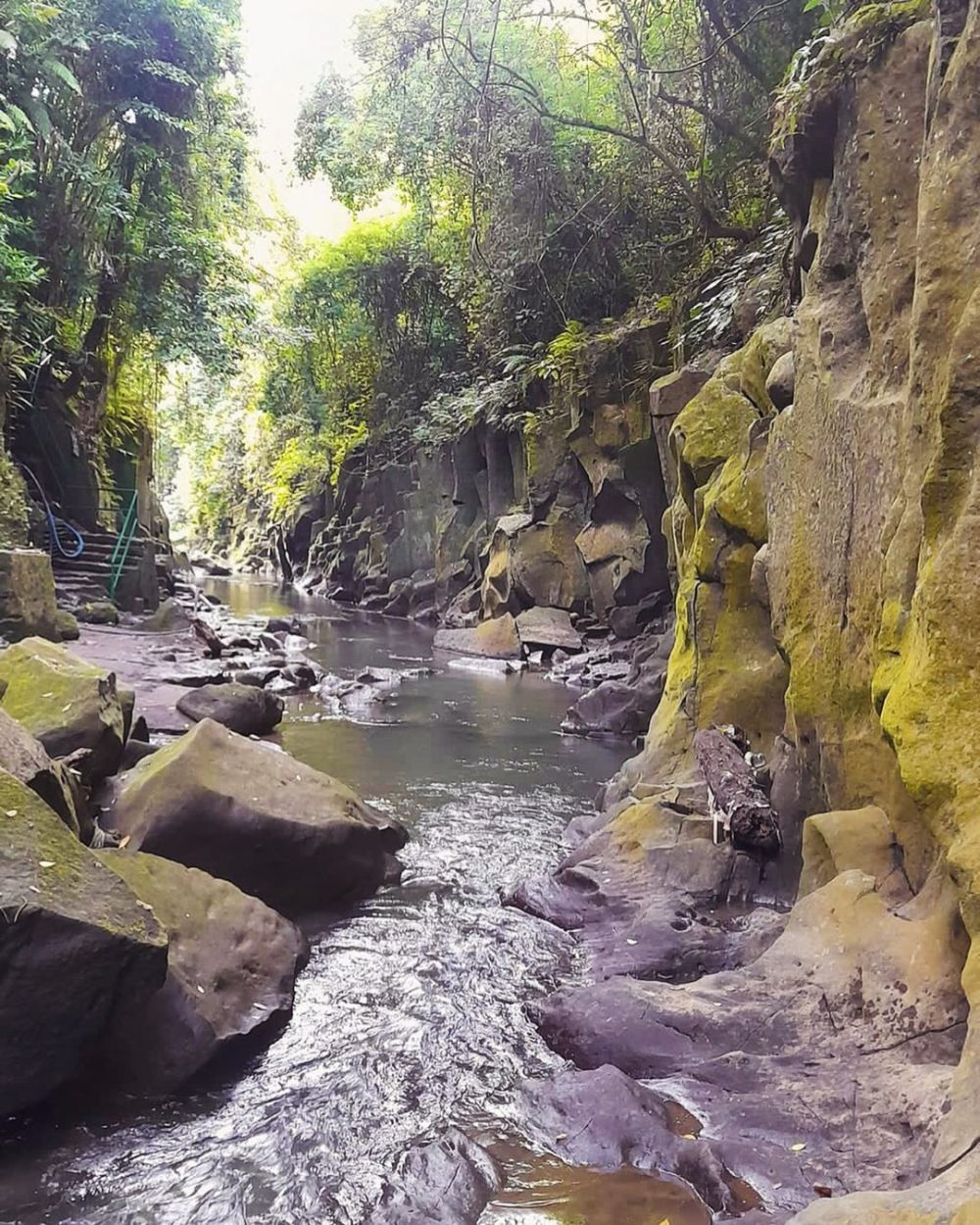 Tiket Masuk Air Terjun Temesi di Gianyar, Tirai Air Alami