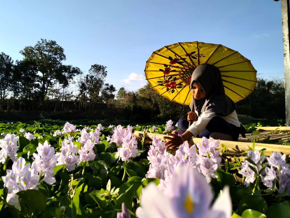 Kalinampu Natural Park, Wisata Ala Jepang di Jogja Selatan