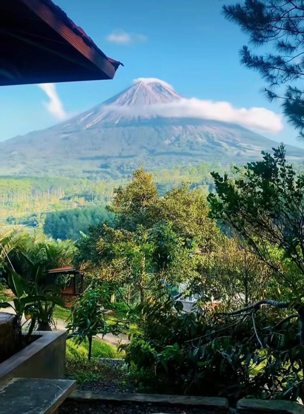 Tempat Nongkrong Cozy Berlatar Gunung Semeru di Lumajang