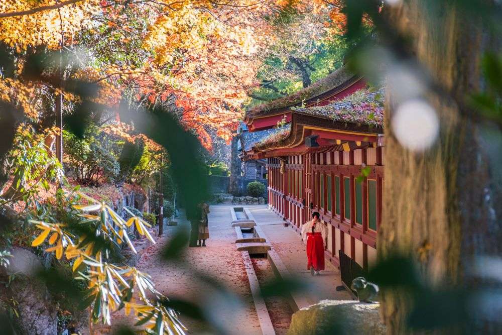 6 Destinasi Wisata di Fukuoka-Jepang yang Wajib Dikunjungi 