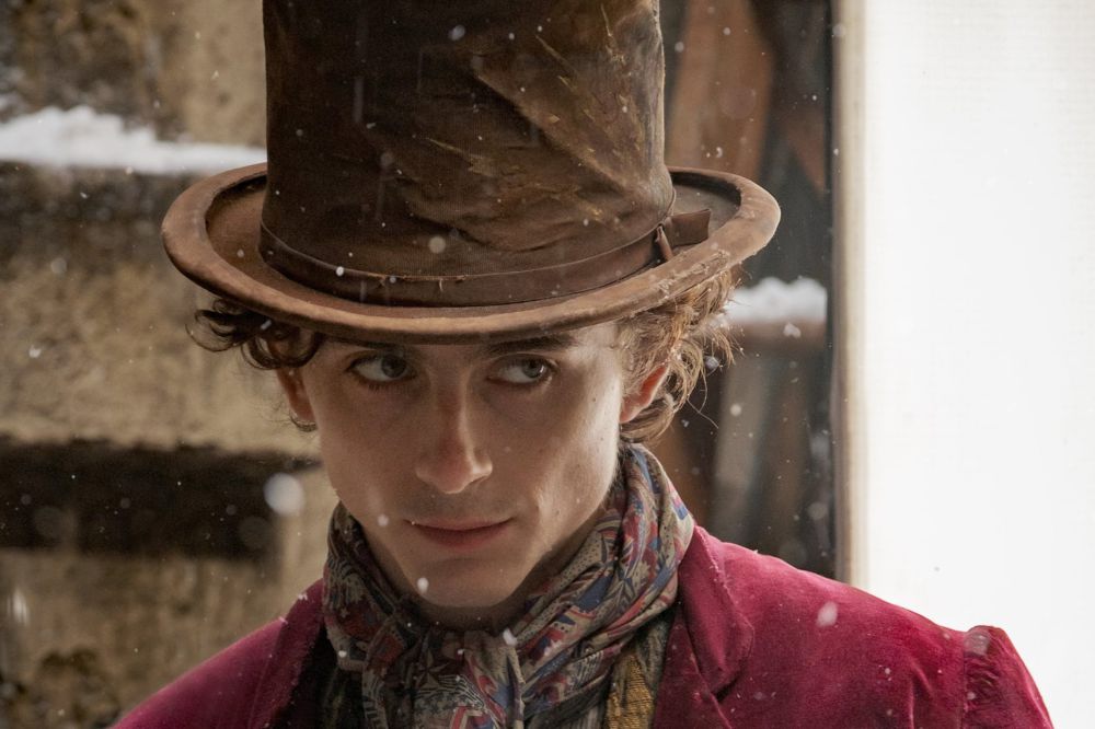 17 Fakta Perjalanan Karier Timothée Chalamet