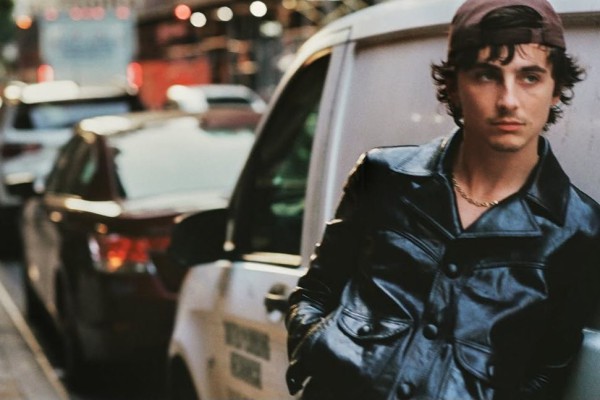 17 Fakta Perjalanan Karier Timothée Chalamet