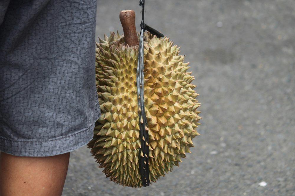 Tempat Wisata Durian Paling Hits di Nganjuk