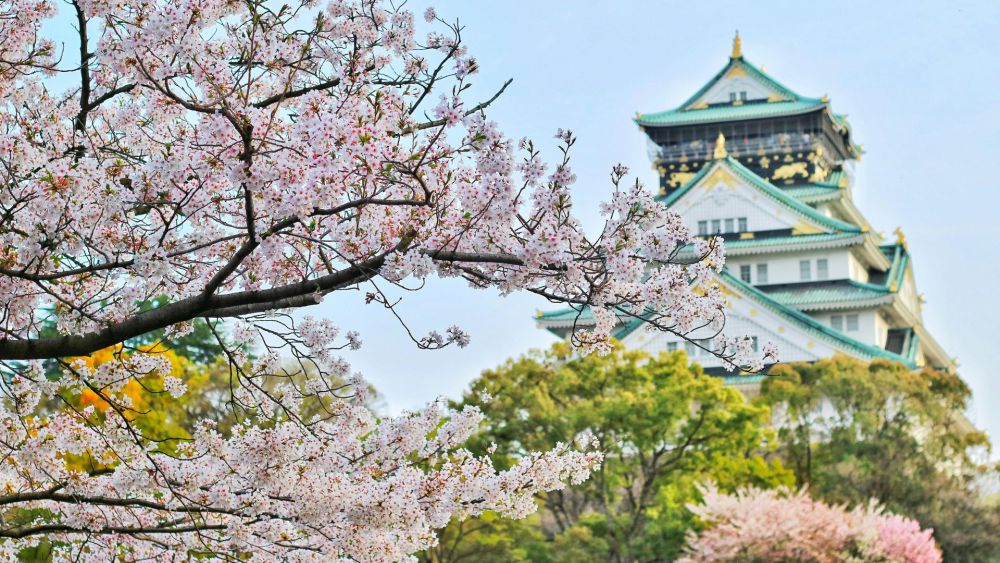 Catat, Ini Syarat Liburan ke Jepang 2025!