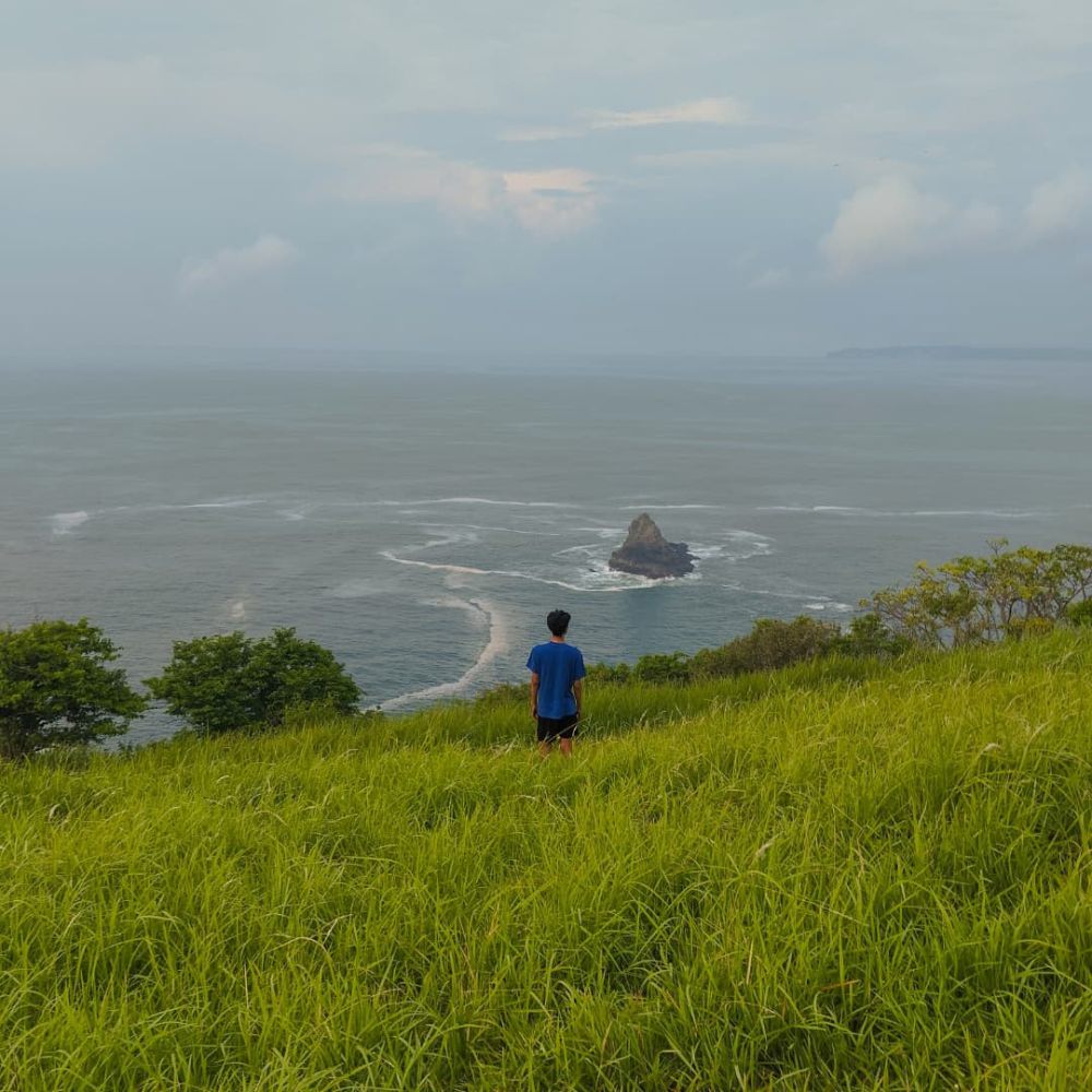Wisata Teluk Love Jember: Lokasi, Harga Tiket dan Tipsnya