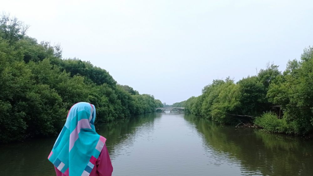 Potret Taman Wisata Alam Angke Kapuk: Lokasi dan Daya Tarik