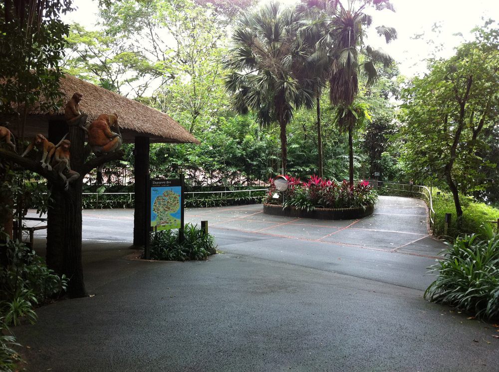 Singapore Zoo: Lokasi, HTM, Jam Buka, dan Tips Wisata