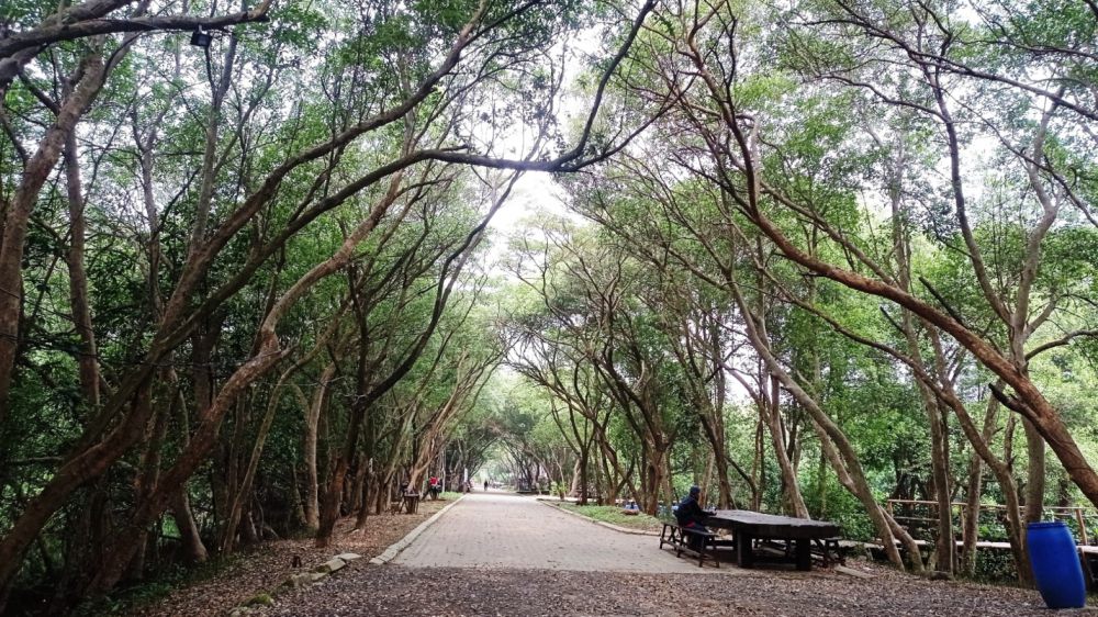 Potret Taman Wisata Alam Angke Kapuk: Lokasi dan Daya Tarik
