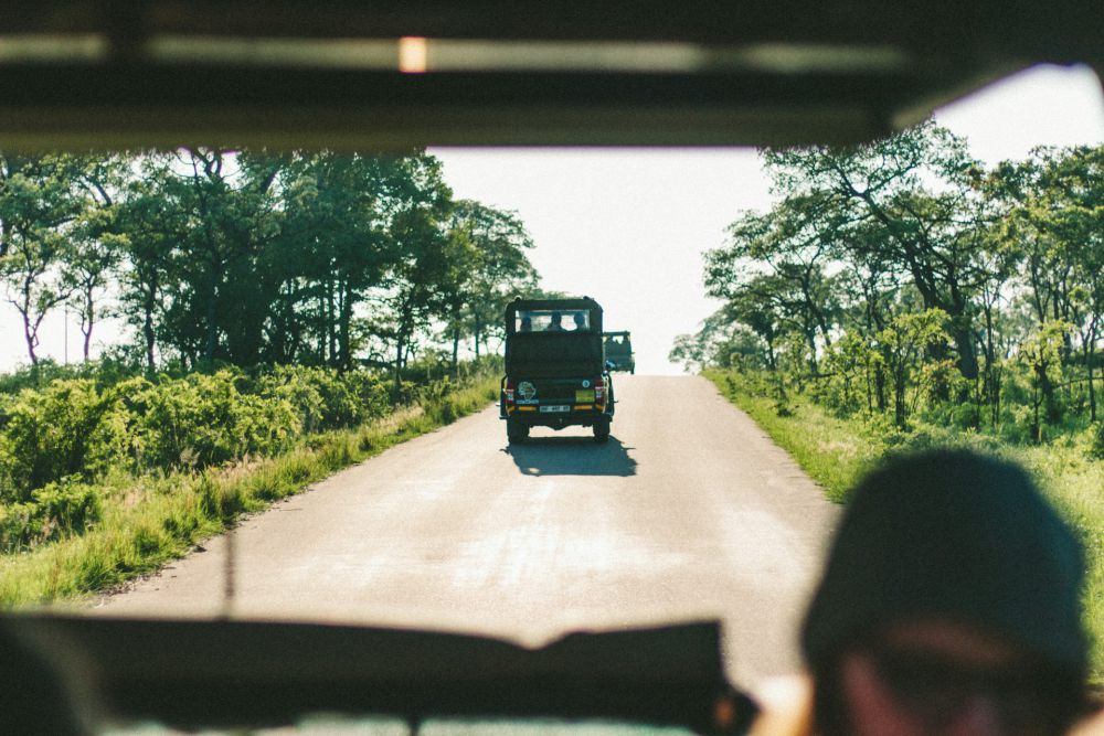 5 Destinasi Night Safari di Afrika yang Tak Kalah Seru dari Siang Hari