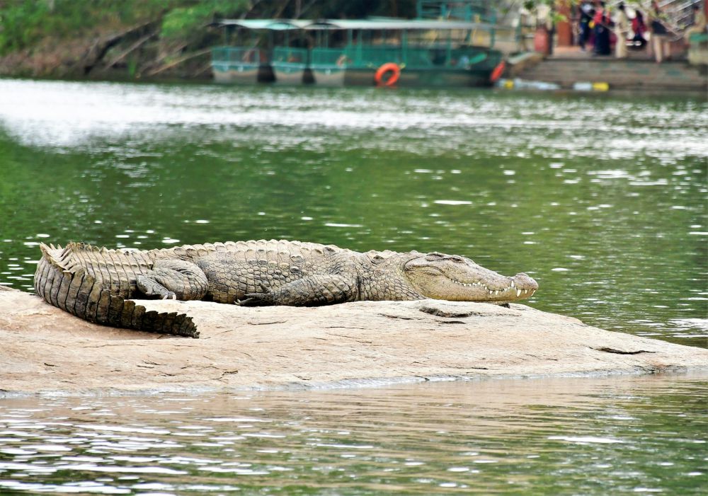 19 Tempat Wisata Bekasi 2025 yang Keren dan Hits