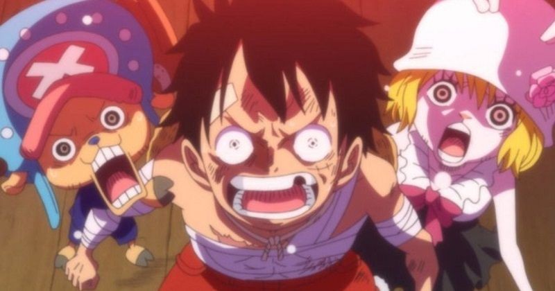 Tahukah Kamu? 5 Mei Adalah Hari Ulang Tahun Luffy di One Piece!