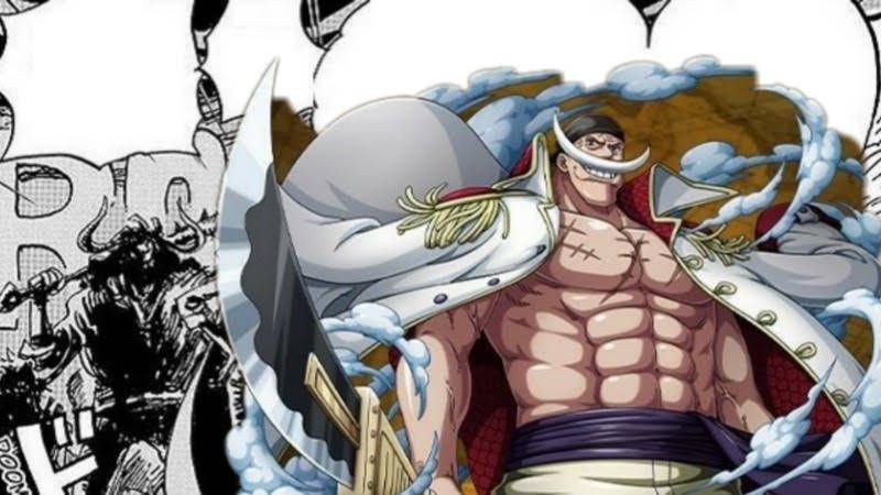 Whitebeard rocks