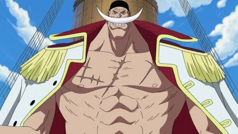 7 Bajak Laut One Piece yang Pernah Diperlihatkan Membajak 