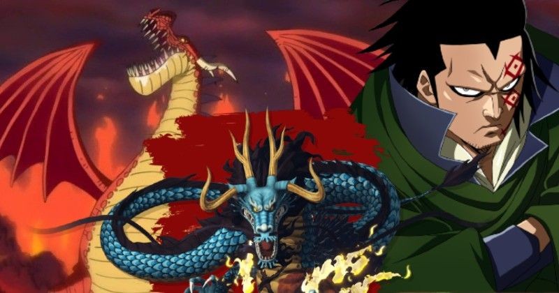 kaido punk hazard monkey d dragon one piece