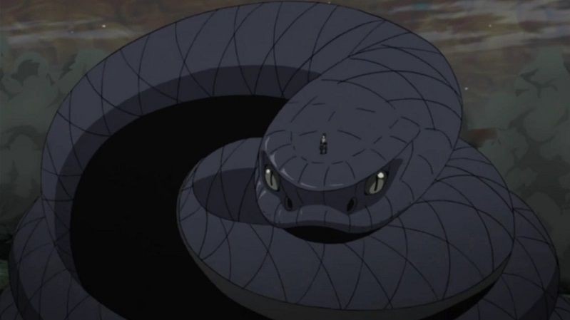 Why is Snake Aoda so loyal to Sasuke?  This is the Reason!