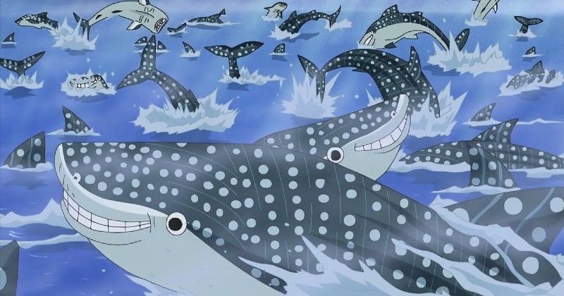 whale shark summoned by Jinbe one piece.jpg