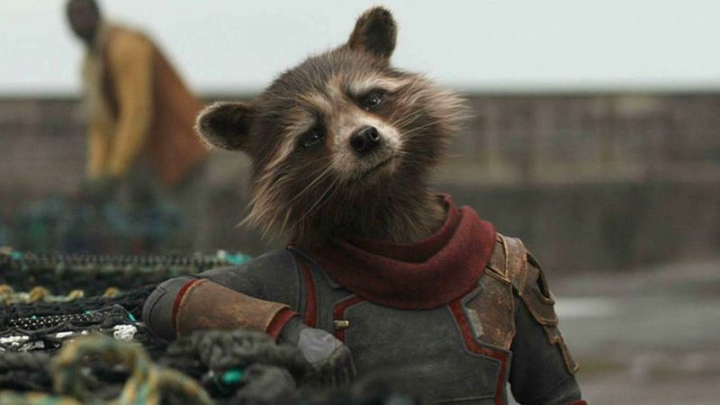 Rocket Raccoon Punya Peran Penting di GOTG Berikutnya Kata James Gunn