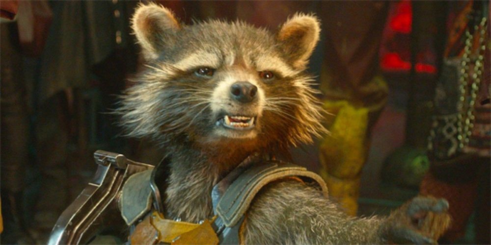 Rocket Raccoon Punya Peran Penting di GOTG Berikutnya Kata James Gunn