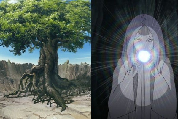 [Naruto] Apakah Pohon Chakra Ditanam oleh Otsutsuki Sebelum Kaguya?
