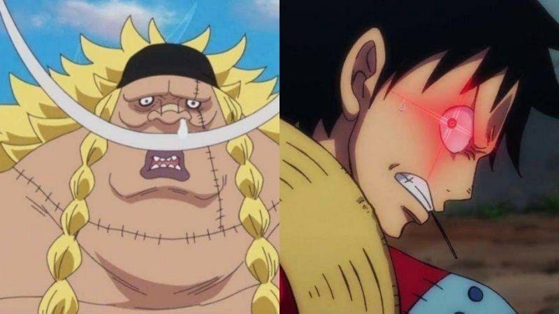 Weevil dan Luffy